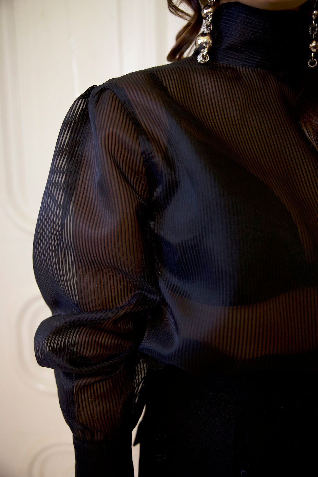 Between the Lines top with sheer organza fabric, long sleeves and back V neck with buttons